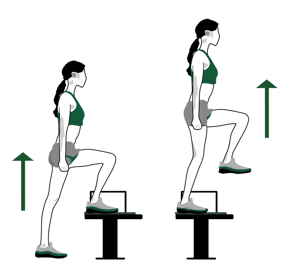 Extension-des-jambes-sur-banc